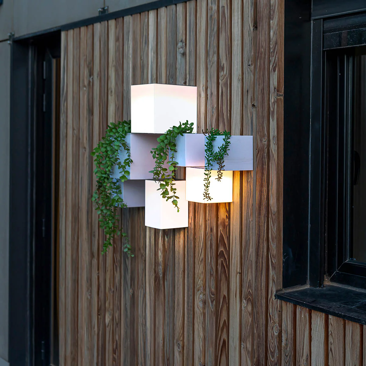 Imagen del producto 5