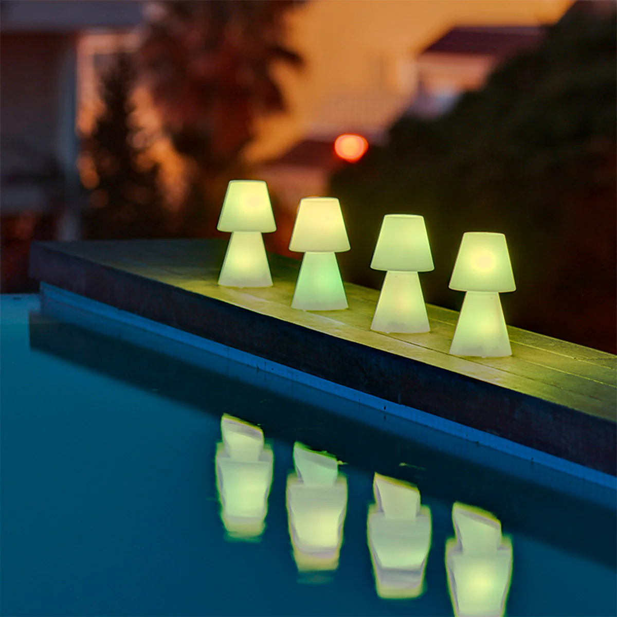 Ideas de Regalo