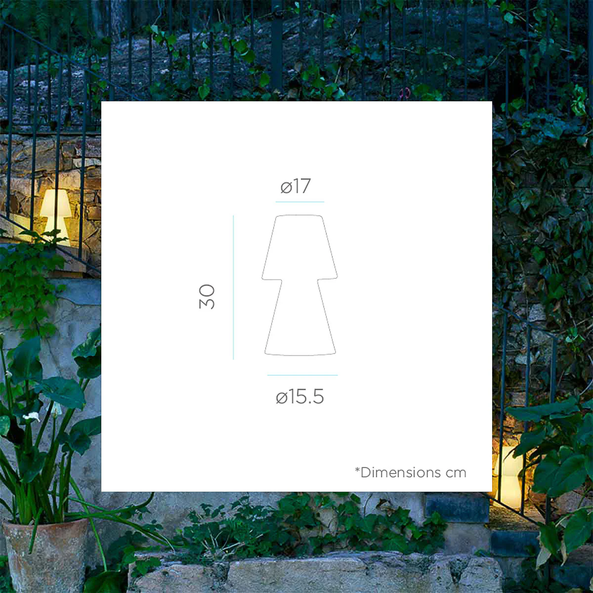Imagen del producto 12