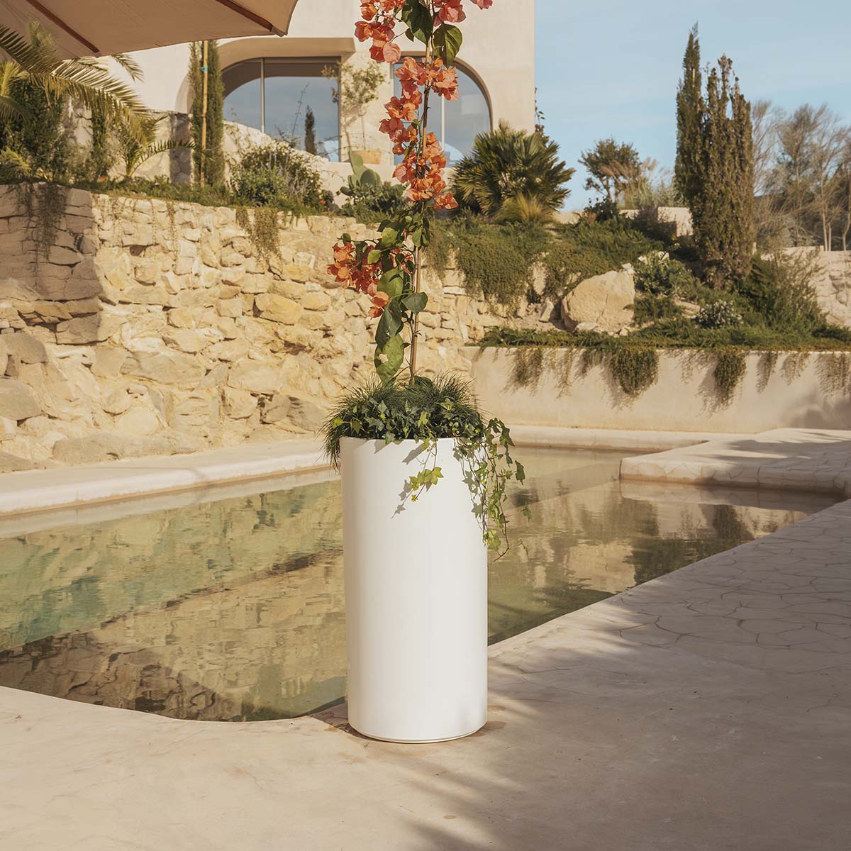 Imagen del producto 18