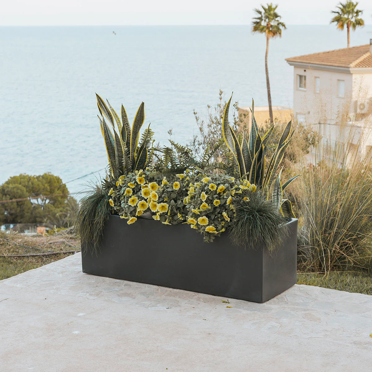 Imagen del producto 20
